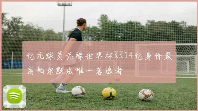 亿元球员无缘世界杯KK14亿身价最高帕尔默成唯一落选者